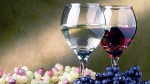 Vineria vino naturale